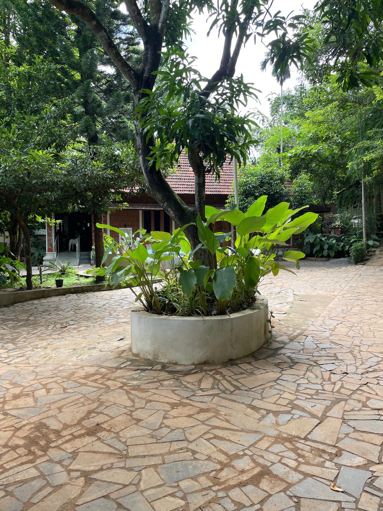 Clean, sunlit courtyard on the Punarjjany campus
